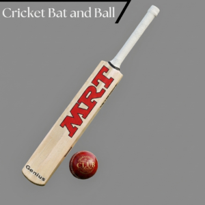 Cricket bat